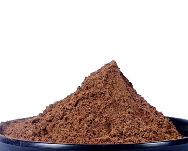 Premium Cocoa Powder Supplier for European and North American Food Industries – PT Pelita Agro Nusantara